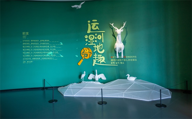 因運而生，光影而盛——SEEMILE中國大運河博物館案例賞析